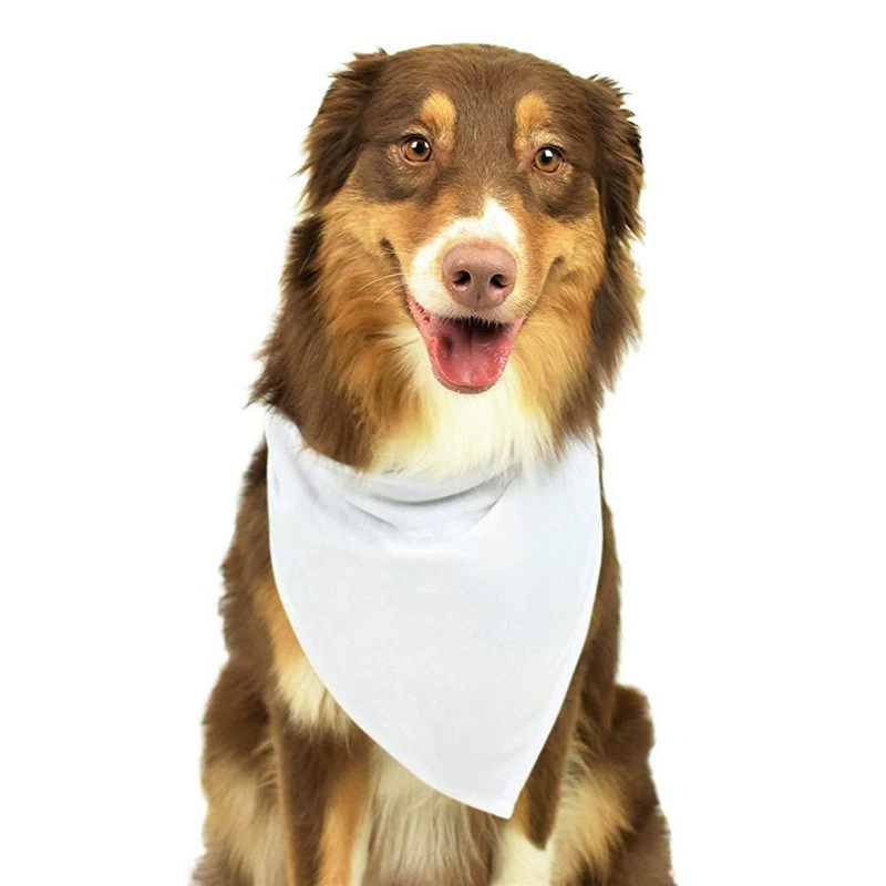30 قطعة من عصابات الكلاب الفار - مراجعة Bandana Blank White وسعره