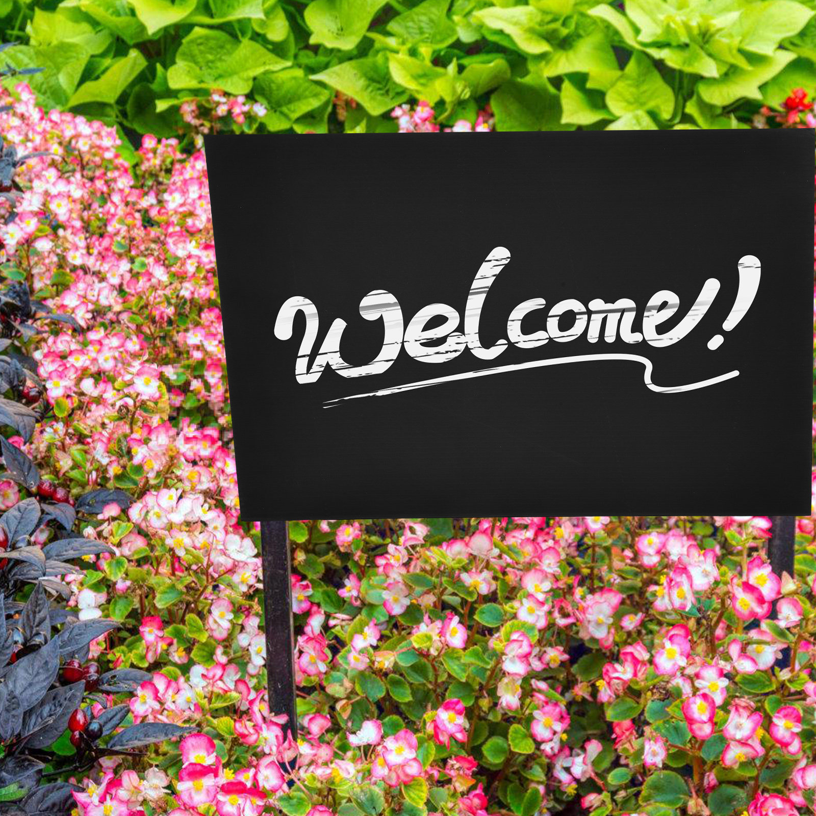 قطعتان من لوحات الإعلانات البل - مراجعة Yard Sign Blank وسعره